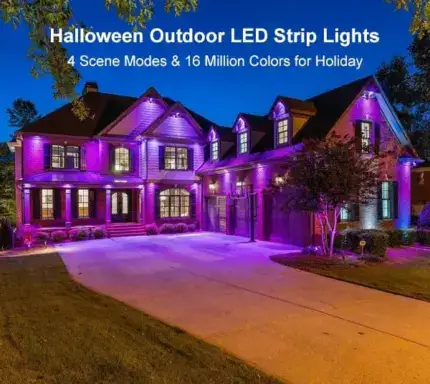 Permanent Outdoor Lights