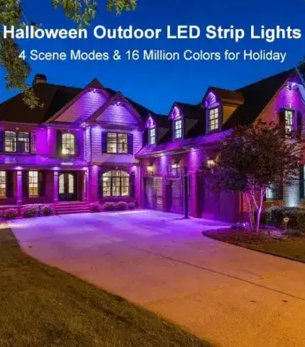 Permanent Outdoor Lights