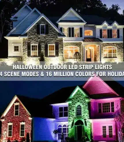 Permanent Outdoor Lights