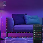 Permanent Outdoor Lights
