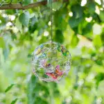 Outdoor Decorative Light Solar