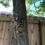 Unique Bird Feeders for Outdoors - Old Man Tree Art