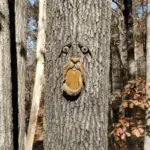 Unique Bird Feeders for Outdoors - Old Man Tree Art