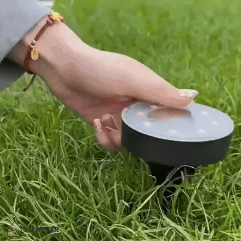 Solar pathway lights outdoor