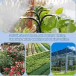 360° Curved Garden Automatic Irrigation System - Image 9